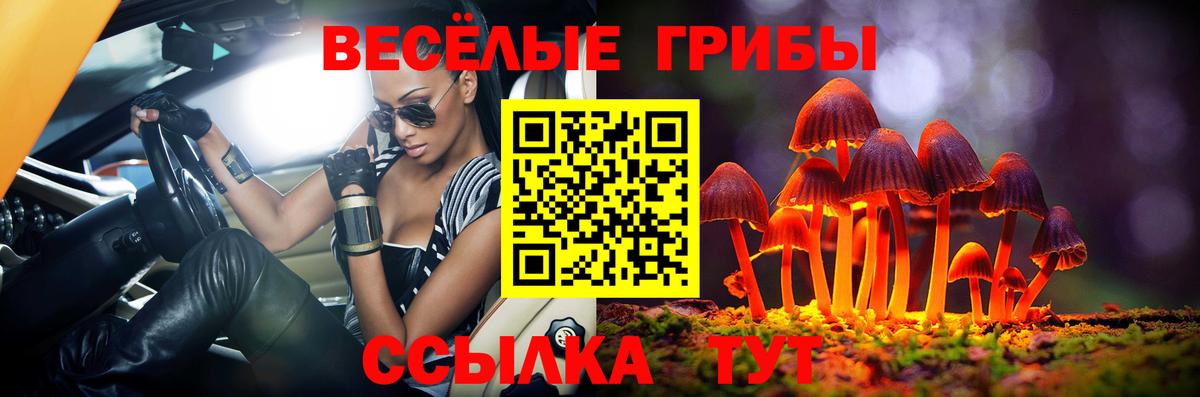 Галлюциногенные грибы Psilocybe  сколько стоит  Севастополь  Вход с VPN 